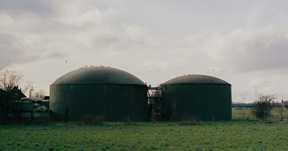 Dos digestores de biogás con cubierta verde en una explotación agraria