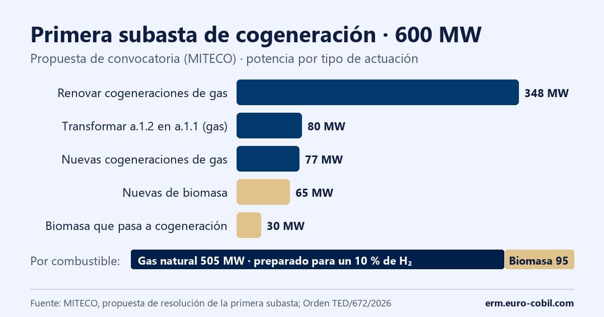 Gráfico de barras con el reparto de los 600 MW de la primera subasta de cogeneración por tipo de producto